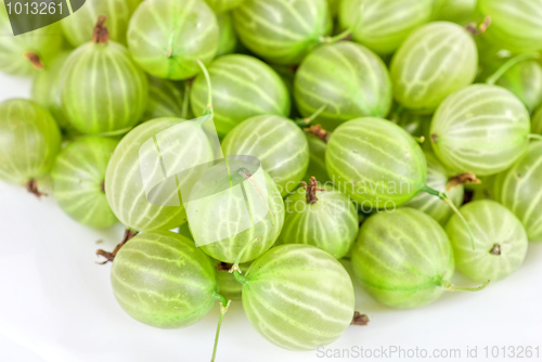 Image of gooseberries