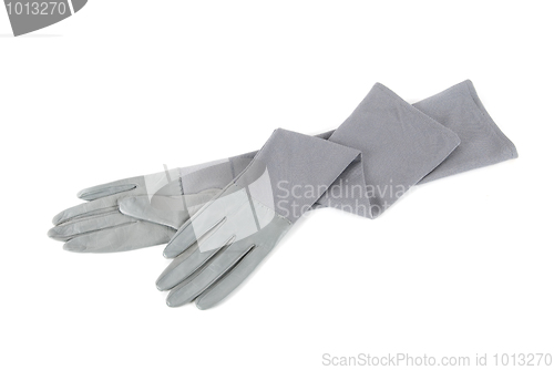 Image of female leather gloves