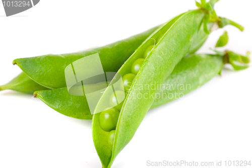 Image of Ripe pea