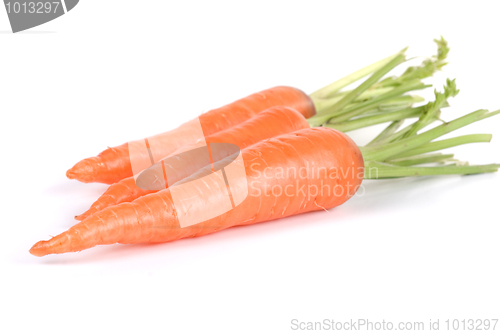 Image of Carrots