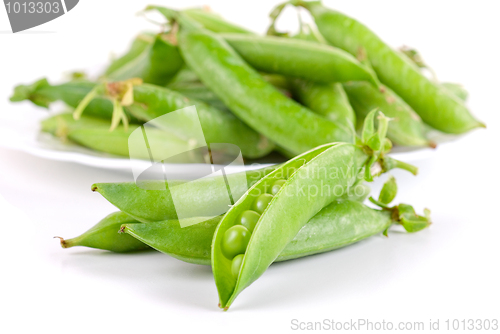 Image of Ripe pea