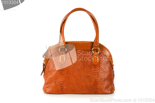 Image of brown women bag