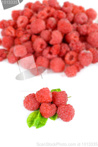 Image of fresh raspberry