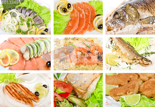 Image of Fish set