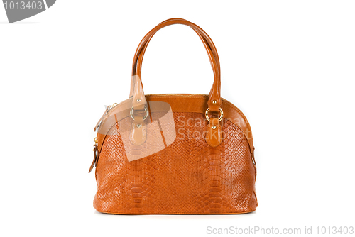 Image of brown women bag