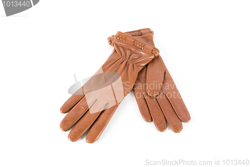 Image of female leather gloves