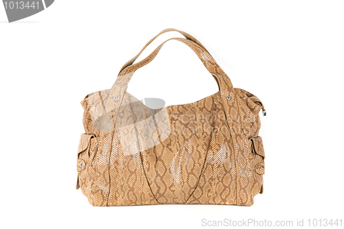 Image of brown women bag