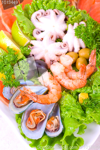 Image of Seafood set