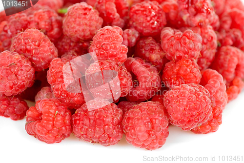 Image of fresh raspberry