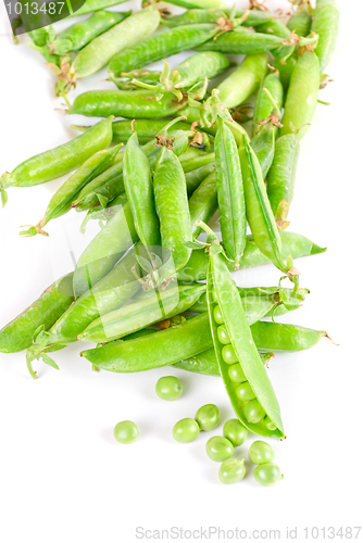 Image of Ripe pea