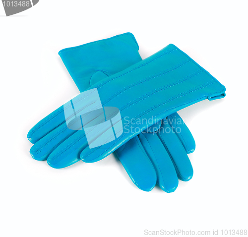 Image of female leather gloves