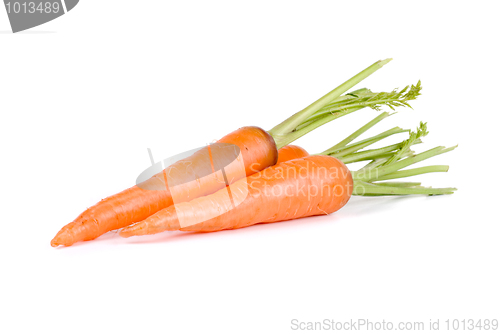 Image of Carrots