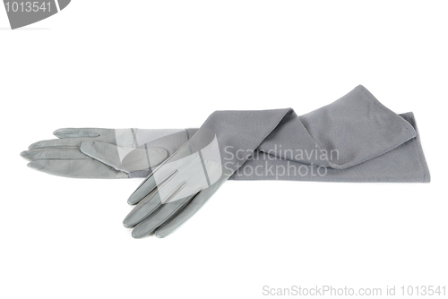 Image of female leather gloves