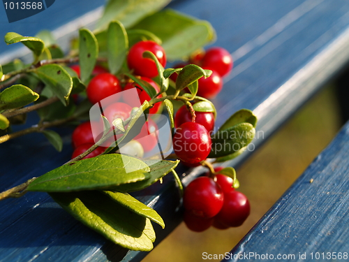 Image of detail of lingonberries