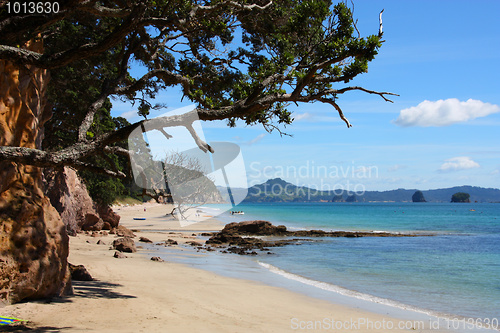 Image of Coromandel