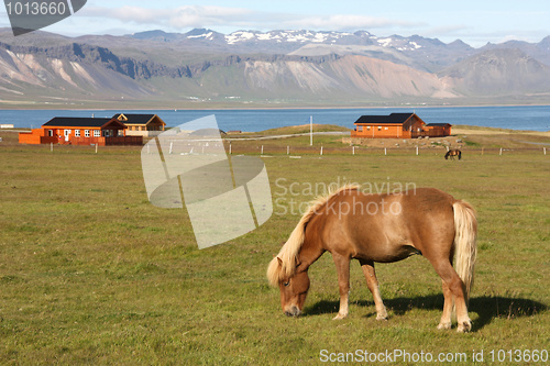 Image of Iceland