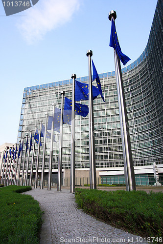 Image of European flags in Brussels