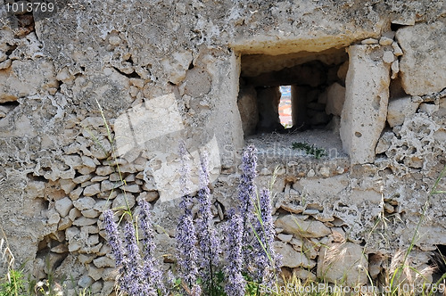 Image of Wall of Medieval Fortress 