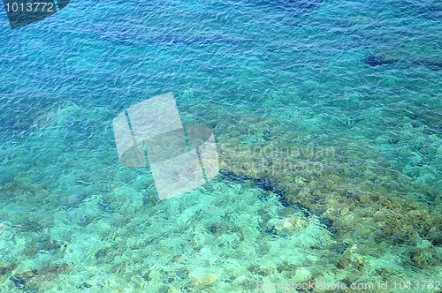Image of Reef in the Clear Water