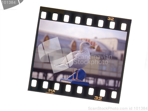 Image of Slide