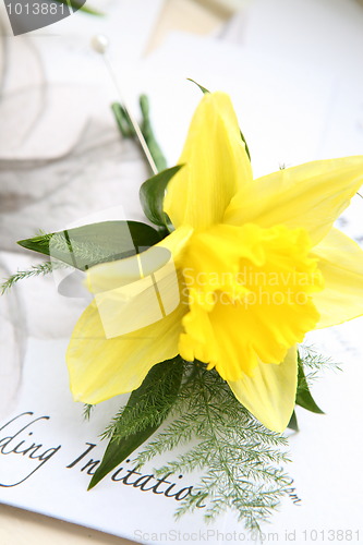 Image of daffodil button hole and wedding invitation