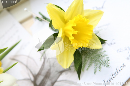 Image of daffodil button hole and wedding invitation