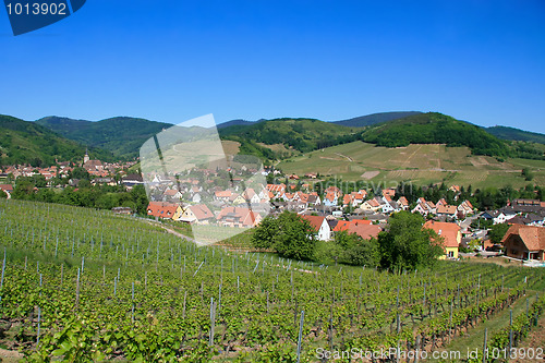 Image of Village surrounded by vineyards in the Alsace Region of France a
