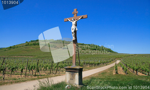Image of Cross in a vineyard at the Route des Vins in Alsace, France (made in 1892). The inscription (from 1892) says "O Crux Ave" (O Holy Cross).