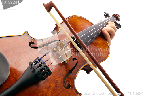 Image of Playing Violin on white backround