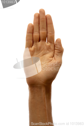 Image of Hand