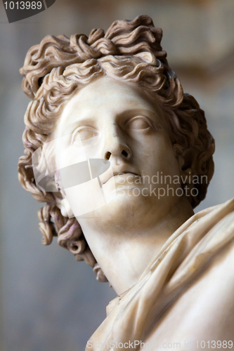 Image of Apollo Belvedere statue. Detail