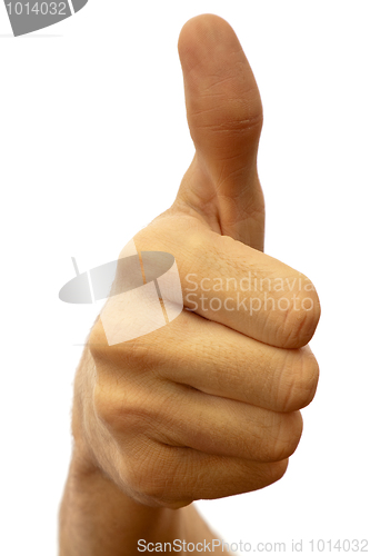 Image of Thumb up