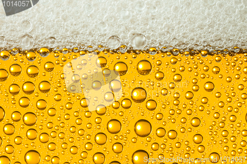 Image of Macro of refreshing beer