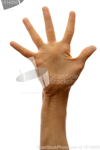 Image of Hand isolated on white background