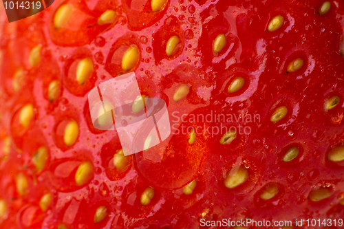 Image of Strawberry. Macro