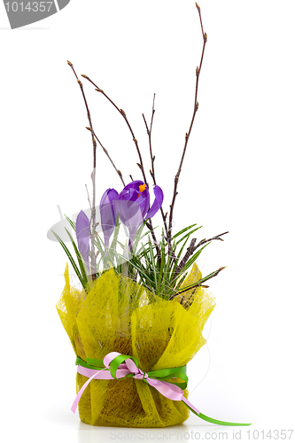 Image of Bouquet of spring crocuses in a decorative box