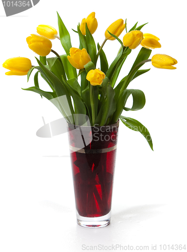 Image of Bouquet of yellow tulips