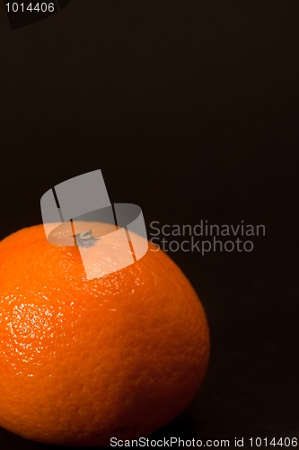 Image of Orange