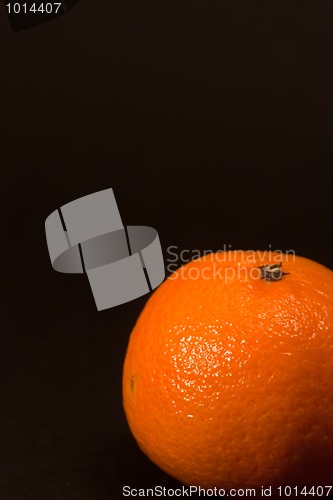 Image of orange