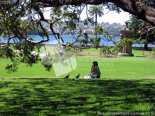 Image of People and birds. Sydney. Australia