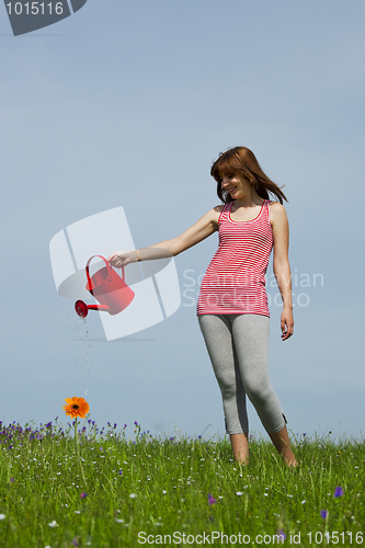 Image of Watering the flowers