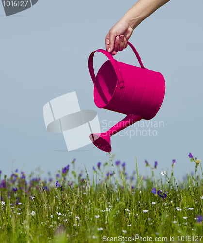 Image of Watering the flowers