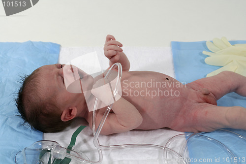 Image of newborn