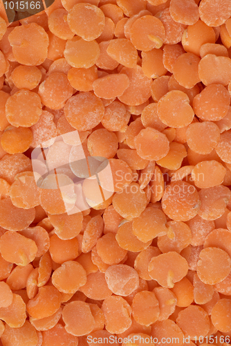 Image of Red lentils