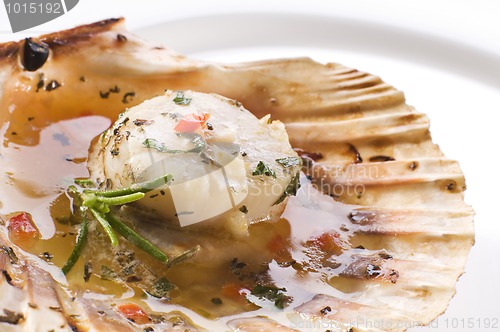 Image of Scallop