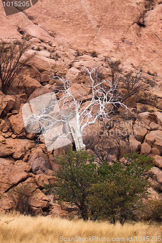 Image of Landscape in Namibia