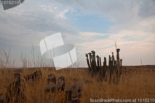 Image of Landscape in Namibia