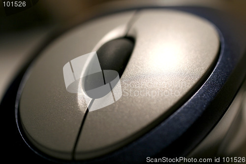 Image of mouse