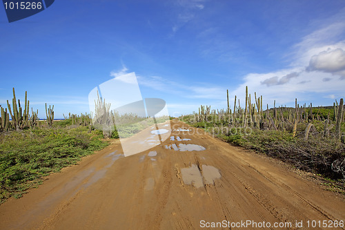 Image of Desert road