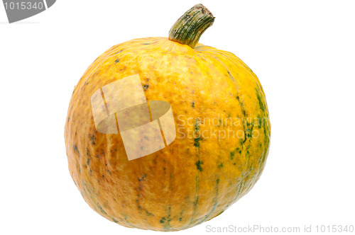 Image of Yellow pumpkin isolated on white background.